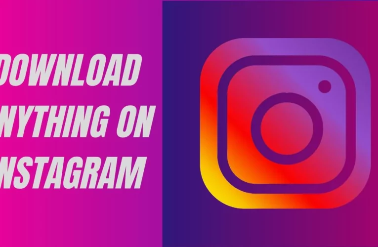 Top 5 Instagram ​Video Downloader ​Tools for Hassle-Free ​Video Saving